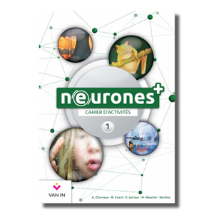 Neurones +1 cahier d'activités